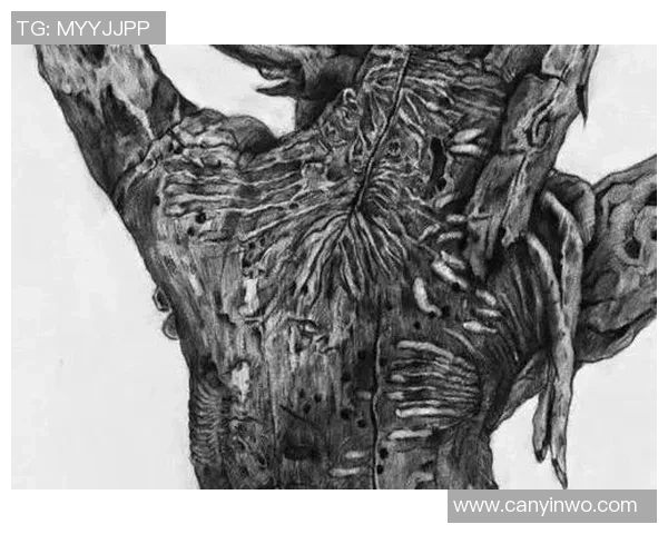 亚历山大邦达尔的艺术人生与当代创作理念的深度探索