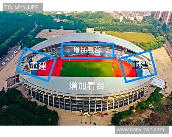 聚焦足球巨星成长之路与赛场传奇及全球影响力深度解析发展趋势展望